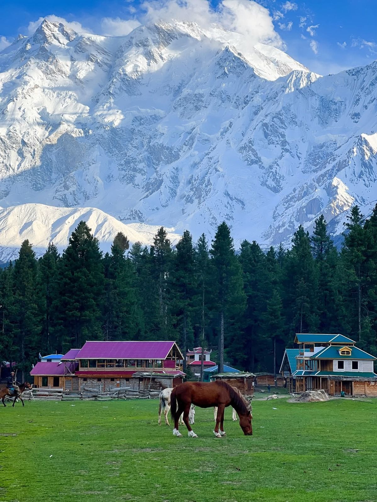 Fairy Meadows