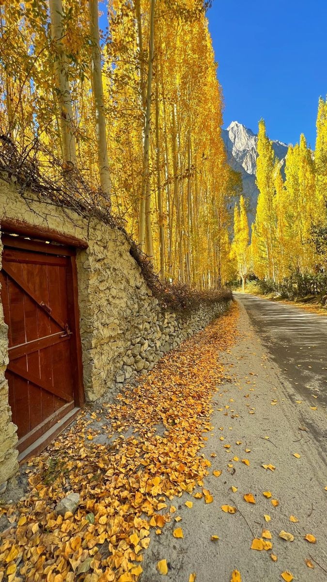 Skardu